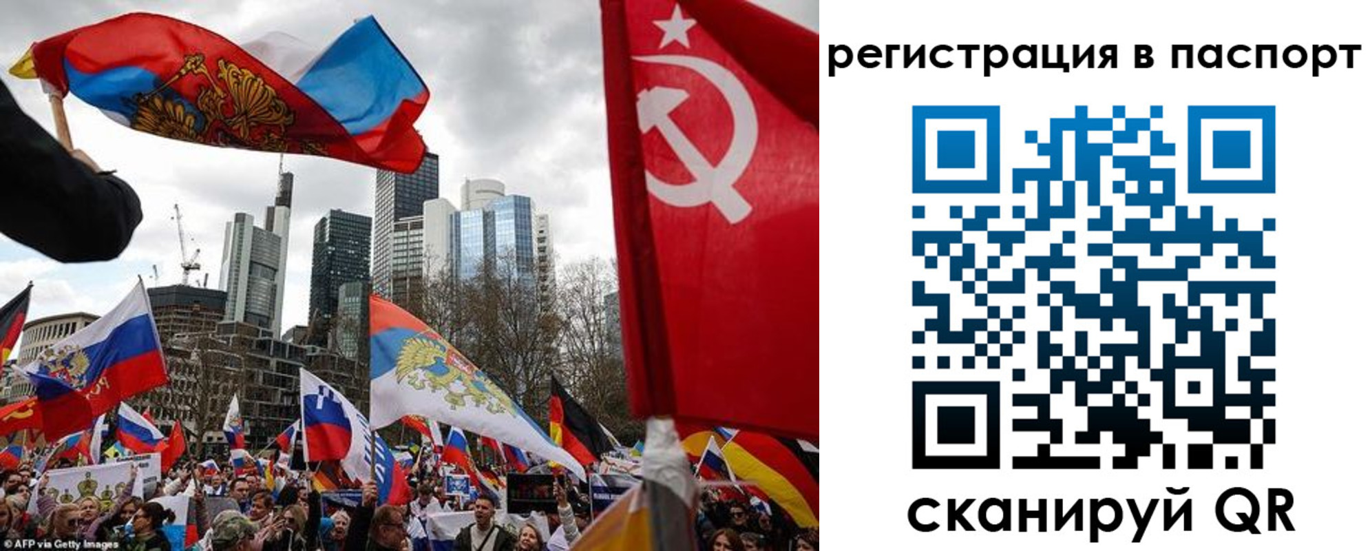 временная регистрация поиск в Электростали